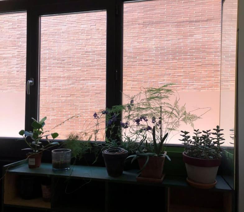 Logement De Charme Aux Carmes Toulouse Exterior photo